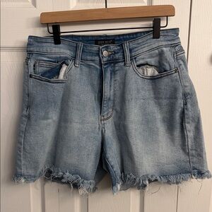 Judy Blue Women's Frayed Hem Jean Shorts - Light Blue